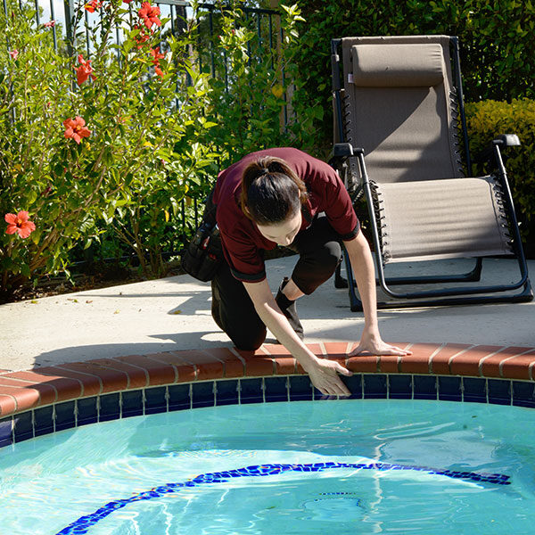 pool & spa inspections
