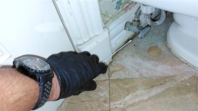 Mold and indoor air quality testing