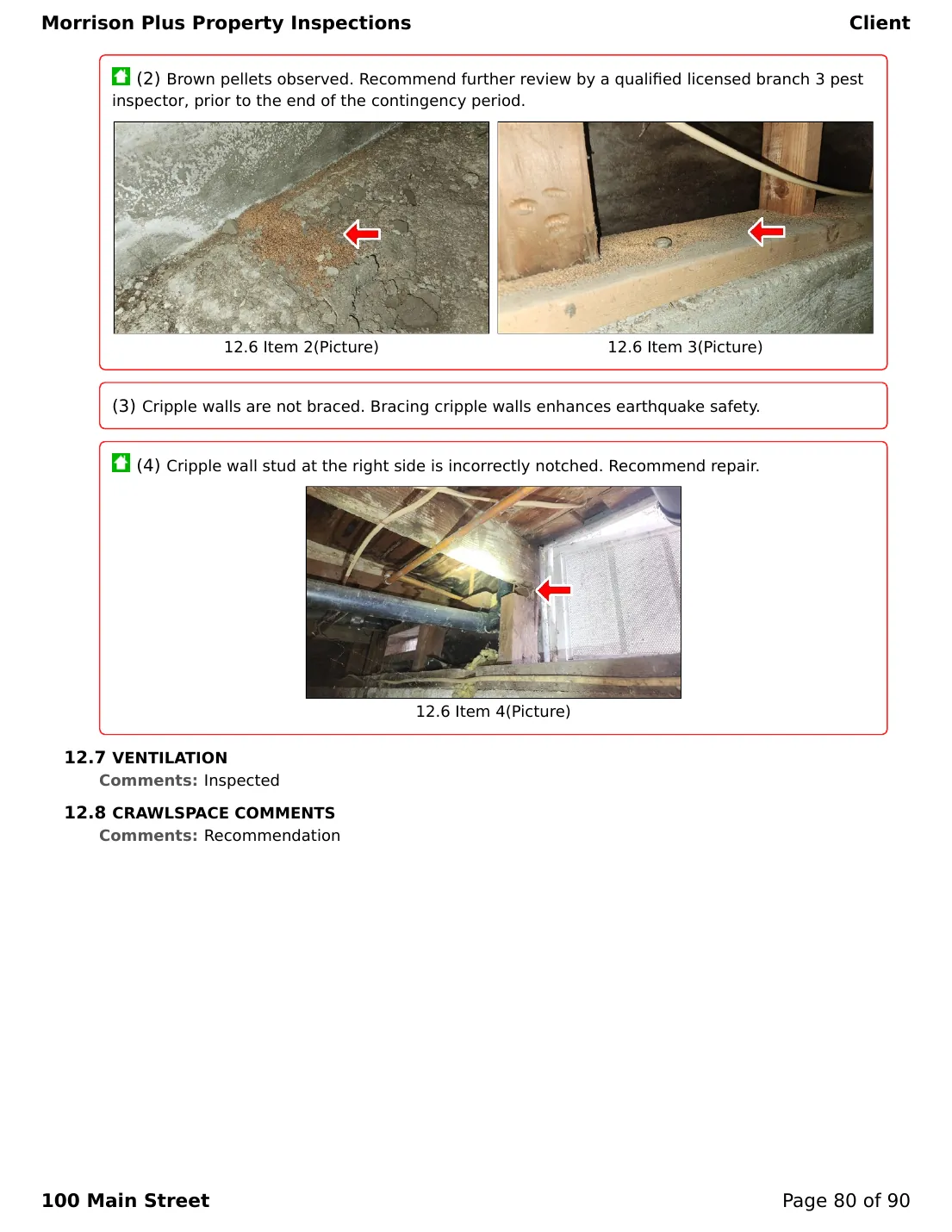 Sample inspection report page 80