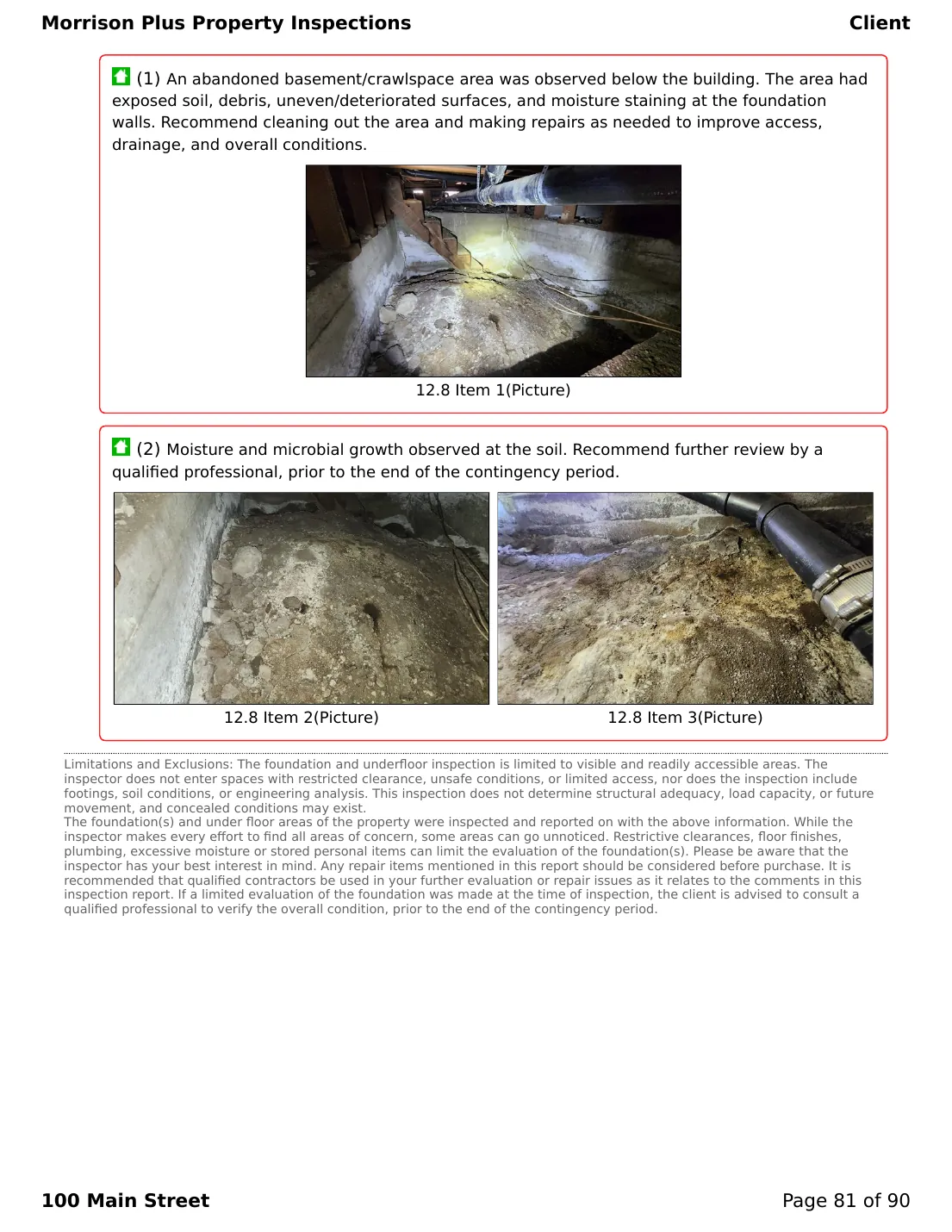 Sample inspection report page 81
