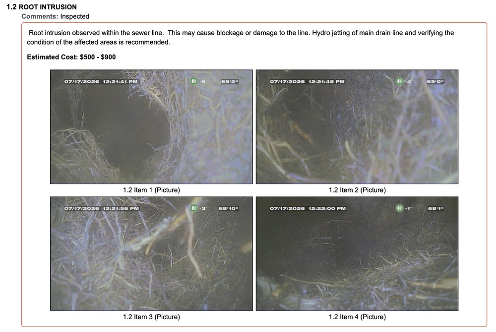 Root intrusion observed within a sewer line during a Morrison Plus camera inspection